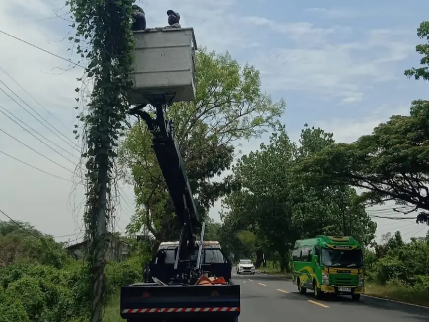 Pemasangan Lampu PJU di Gresik Belum Ideal, Masih Kekurangan 4 Ribu Titik