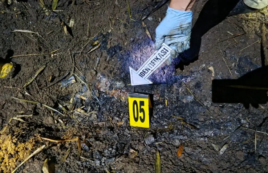 Polisi Berhasil Identifikasi Misteri Mayat Perempuan Terbakar di Kebun Tebu Gedangan Malang