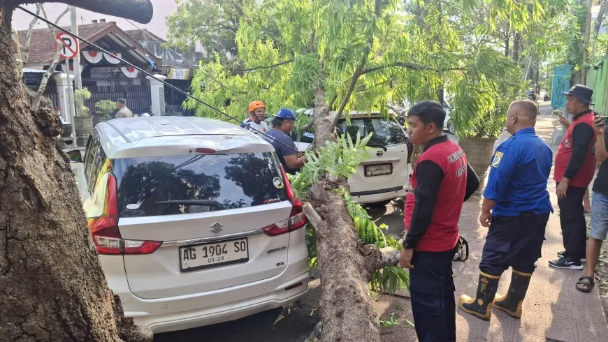 Mobil Rusak Tertimpa Pohon, Pemilik Berencana Minta Ganti Rugi Ke DLH Tulungagung