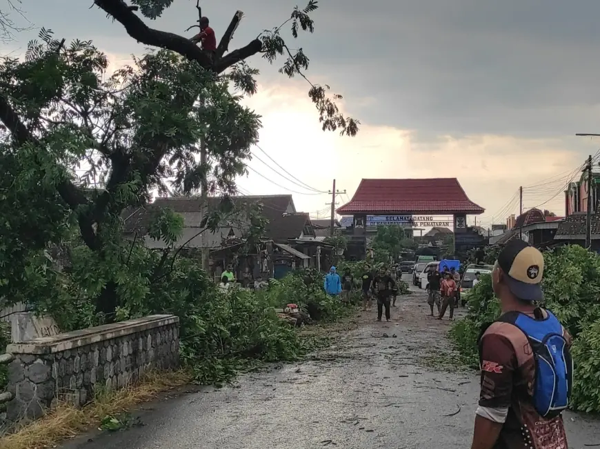 Desa Penataran Blitar Diterjang Angin Kencang, Pohon Tumbang, Rumah dan Kendaraan Warga Rusak