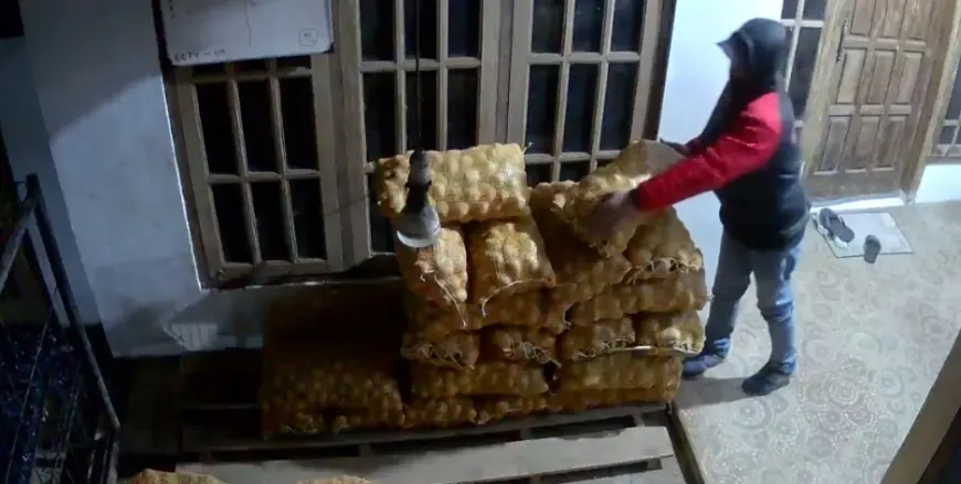Pakai Topi dan Jaket, Aksi Pencuri Kentang di Kota Blitar Terekam Kamera CCTV