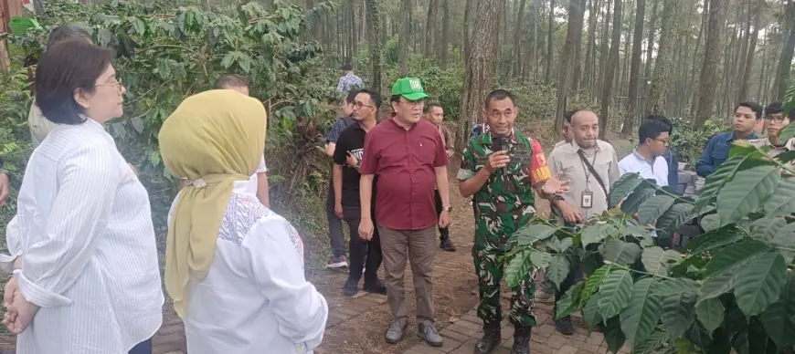 Sensasi Berkemah di Lereng Semeru, Nikmati Aroma Kopi di Benjor Tumpang