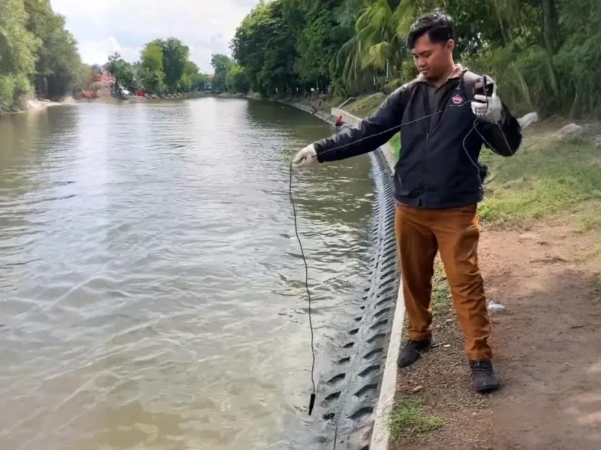 Penurunan Oksigen Terlarut Jadi Pemicu Ikan Mengambang di Sungai Surabaya
