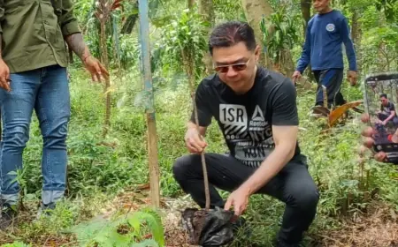 Kencana Group Kembali Konsisten Menanam 1.000 Pohon di Lereng Arjuna - Welirang