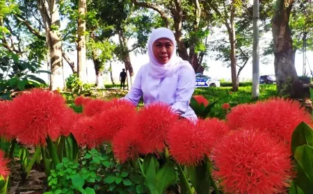 Khofifah Jatuh Hati pada Bunga Desember yang Mekar Indah di Bondowoso