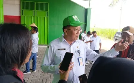 Jelang Tutup Giling, Petani Malang Kebut Tanam Tebu Musim Baru di Tengah Hujan Deras