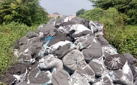 Temuan B3 di Mojokerto, Walhi Minta Pemerintah Beber Data dan Tindak Tegas Pelaku