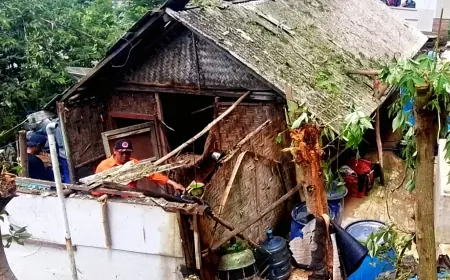 Tiga Rumah Rusak Tertimpa Pohon Dilaporkan Rusak Parah di Sumbermanjing Wetan Malang