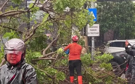 Cuaca Ekstrem Kembali Landa Surabaya, Pohon Tumbang Tutup Jalan Sulawesi