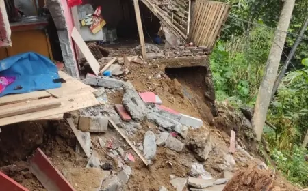 Warung Warga Rusak Tertimpa Pohon Tumbang di Tamanasri Ampelgading Malang