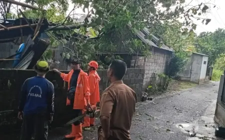 Diterjang Angin Kencang, Pohon Tumbang Timpa Gudang dan Dua Motor Warga Singosari