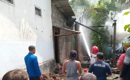Gegara Usir Tawon Menggunakan Obor, Kandang di Kalidawir Tulungagung Terbakar