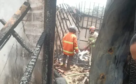 Kebakaran Hanguskan Tempat Penetasan Puyuh di Blitar, Kerugian Capai Rp10 Juta