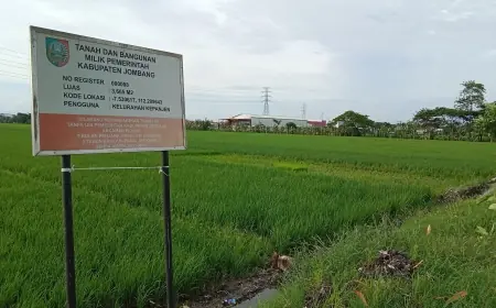Luas Lahan Pertanian Pangan di Jombang Menyusut Hampir 1.000 Hektare