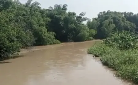 Sungai Kalilamong Meluap, 7 Titik Tanggul di Gresik Jebol dan 1 Titik Kritis