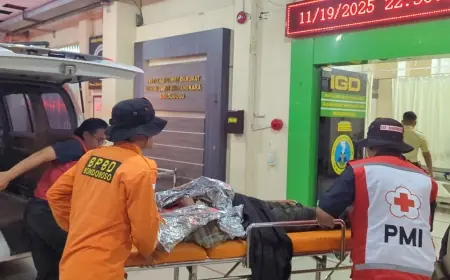 Pencari Burung yang Jatuh di Pegunungan Argopuro Bondowoso Ditemukan Selamat