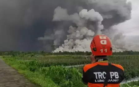 Semeru Masih Berstatus Awas, Catat 25 Kali Letusan dalam 6 Jam