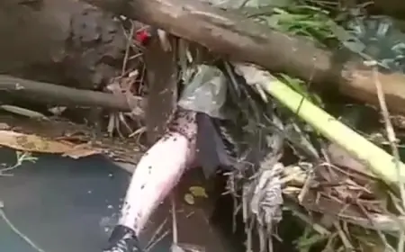 Warga Temukan Mayat Pria Membusuk di Sungai Brantas Kota Batu, Polisi Selidiki Sebab Kematian