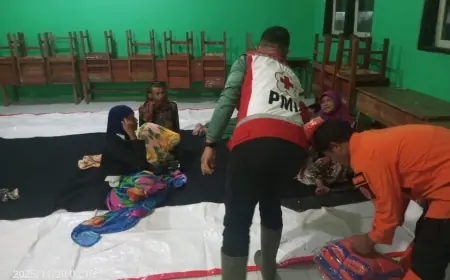 BPBD Malang Laporkan Total 695 Pengungsi Tersebar di 7 Titik Dampak Erupsi Semeru