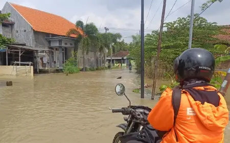 Banjir Kalilamong Merambah ke Sepuluh Desa di Gresik, Rumah dan Puluhan Hektare Sawah Terendam