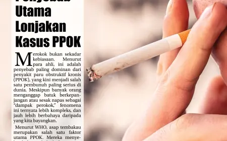 eKoran, Edisi Ahad, 23 November 2025
