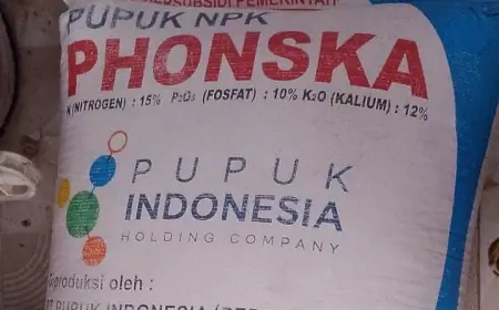 HET Pupuk Bersubsidi di Bondowoso Masih Tinggi, Petani Mengeluh