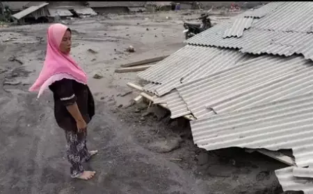 Ratusan Ternak Mati Akibat Erupsi Semeru