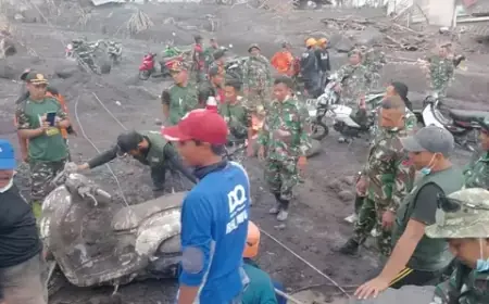 Ratusan Hektare Lahan Pertanian Rusak Akibat Erupsi Semeru
