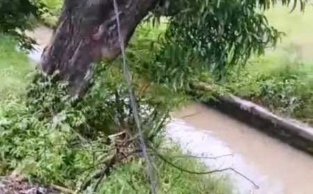 Ada Korban Tersetrum Kabel PJU di Tengah Sawah, Ini Tindak Lanjut Dishub Nganjuk
