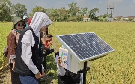 Pelajar Gresik Ciptakan Alat Pengusir Hama Tikus untuk Petani