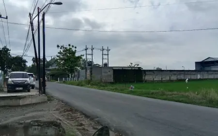CV Java Pangan Nusantara Tetap Beroperasi Meski Tanpa PBG, Pemkab Jombang Mlempem, PAD Bocor