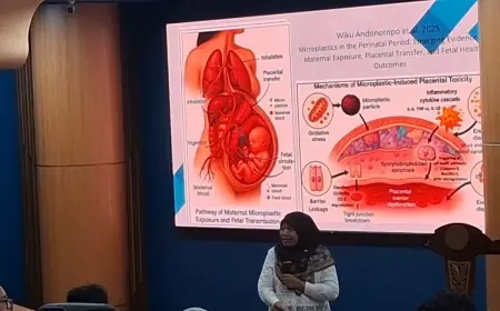 Paparan Mikroplastik di Ibu Hamil, Dokter Beri Saran Konsumsi Antioksidan