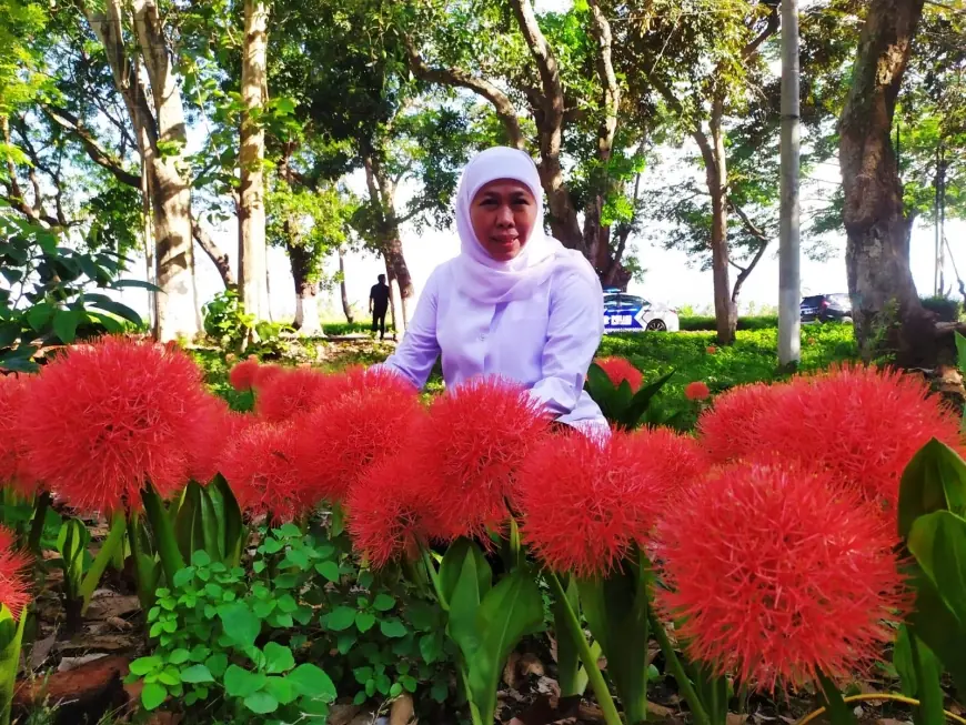 Khofifah Jatuh Hati pada Bunga Desember yang Mekar Indah di Bondowoso
