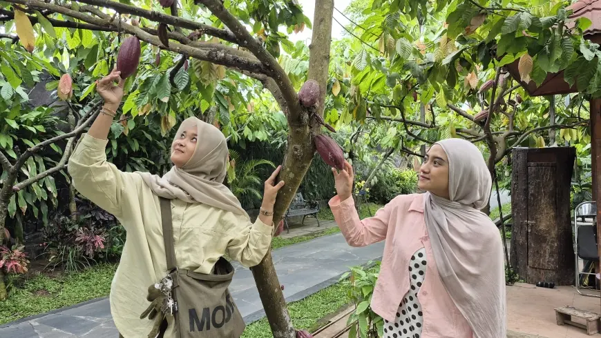 Lewat Boarding Pass Through Value, Pelanggan KA Bisa Dapat Diskon 25 Persen di Kampung Cokelat Blitar