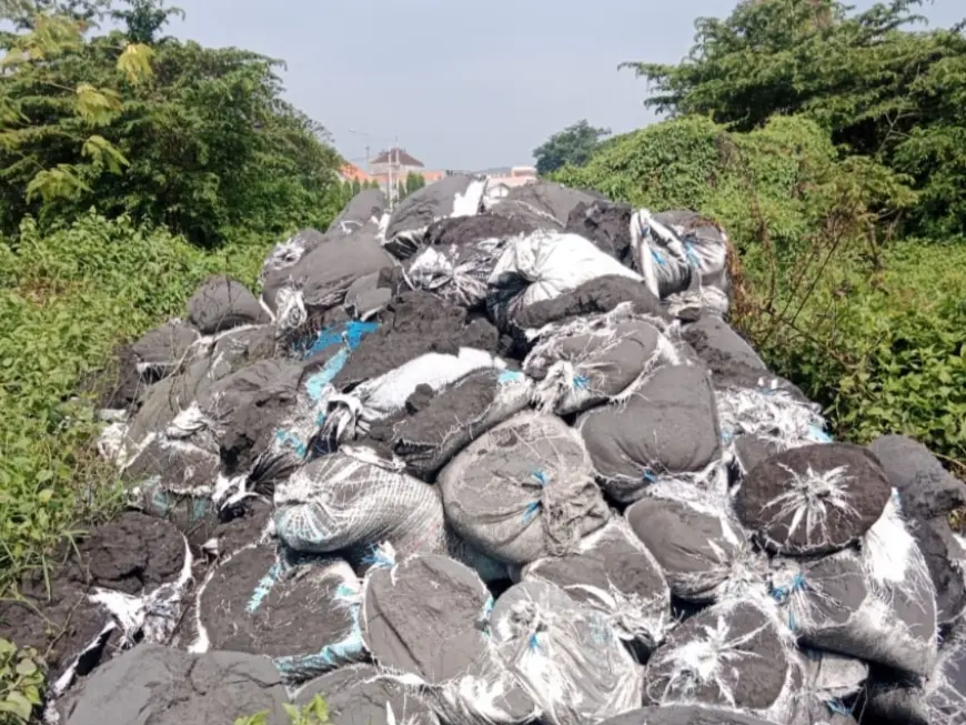 Temuan B3 di Mojokerto, Walhi Minta Pemerintah Beber Data dan Tindak Tegas Pelaku