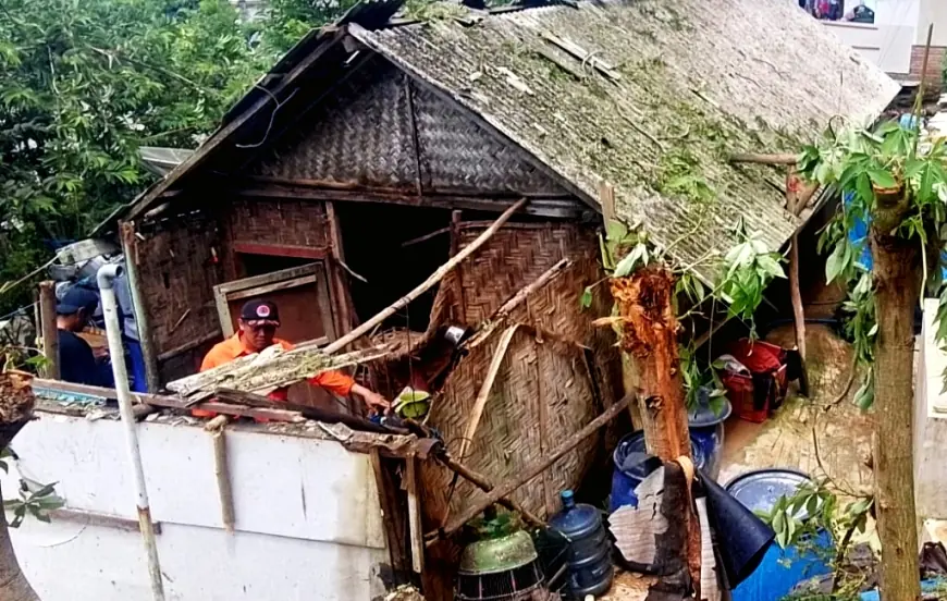 Tiga Rumah Rusak Tertimpa Pohon Dilaporkan Rusak Parah di Sumbermanjing Wetan Malang