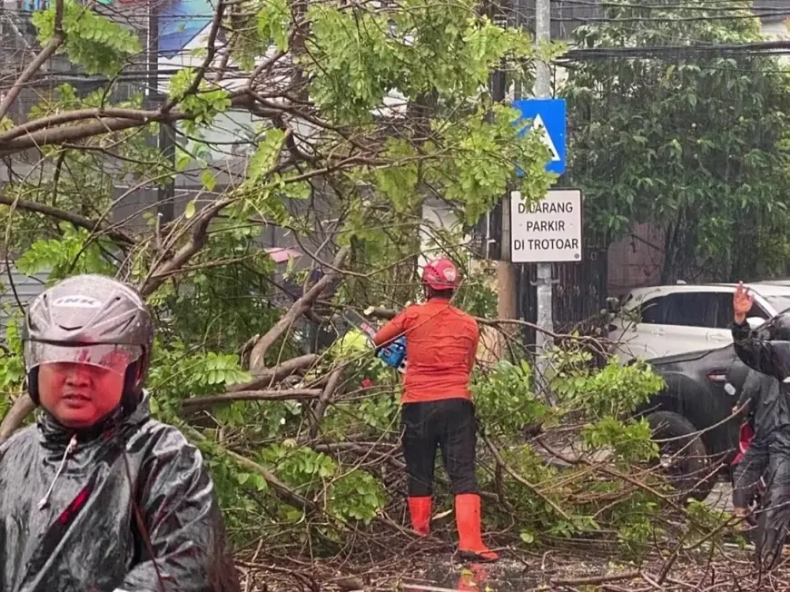 Cuaca Ekstrem Kembali Landa Surabaya, Pohon Tumbang Tutup Jalan Sulawesi