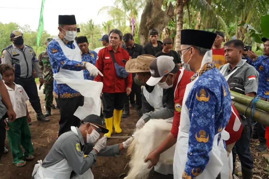 Ini Cara Disnakkan Dorong Sektor Pertenakan di Bondowoso