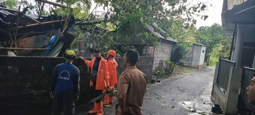 Diterjang Angin Kencang, Pohon Tumbang Timpa Gudang dan Dua Motor Warga Singosari