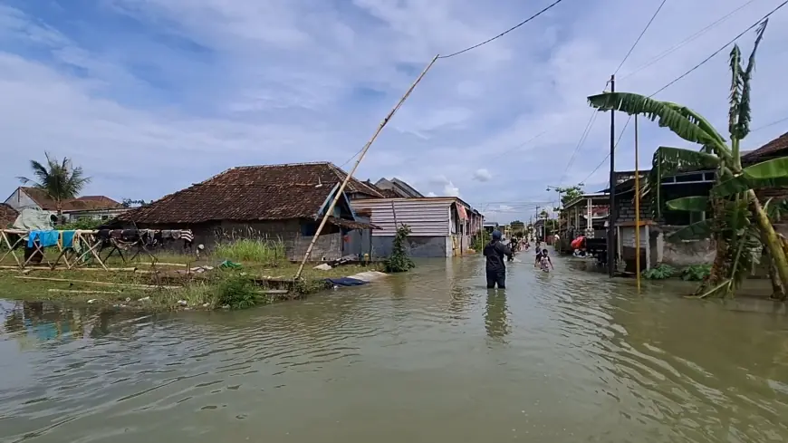 Tiga Hari Dikepung Banjir, Sejumlah Warga di Gresik Mulai Dievakuasi