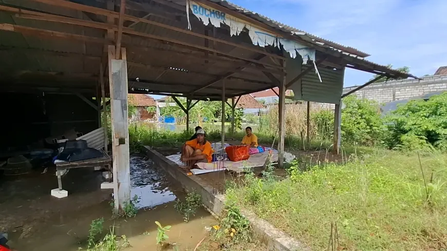 Bertahan di Tengah Kepungan Air, Nestapa Korban Banjir Gresik yang Enggan Mengungsi