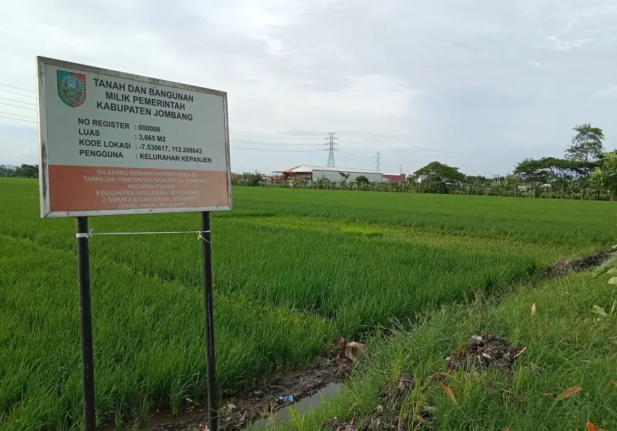 Luas Lahan Pertanian Pangan di Jombang Menyusut Hampir 1.000 Hektare