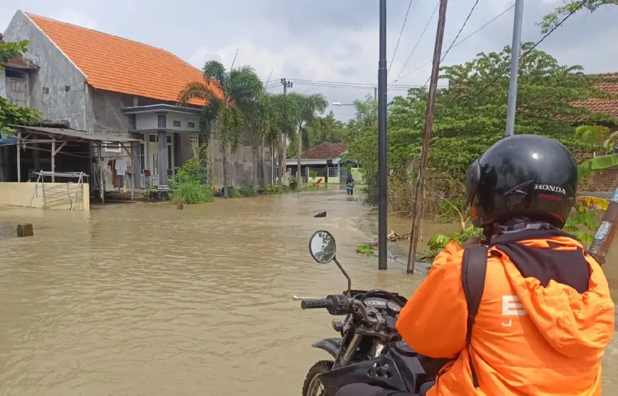 Banjir Kalilamong Merambah ke Sepuluh Desa di Gresik, Rumah dan Puluhan Hektare Sawah Terendam
