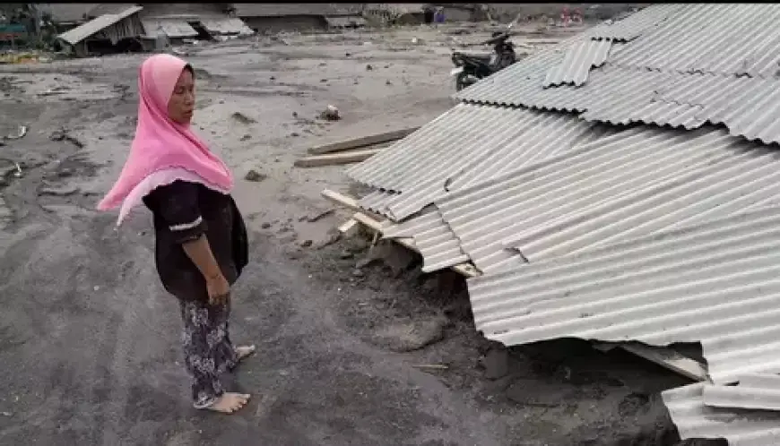 Ratusan Ternak Mati Akibat Erupsi Semeru