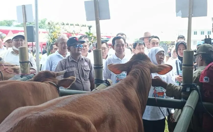 Bupati Jember Fawait Siap Dukung Penuh Program Pertanian Gubernur Khofifah