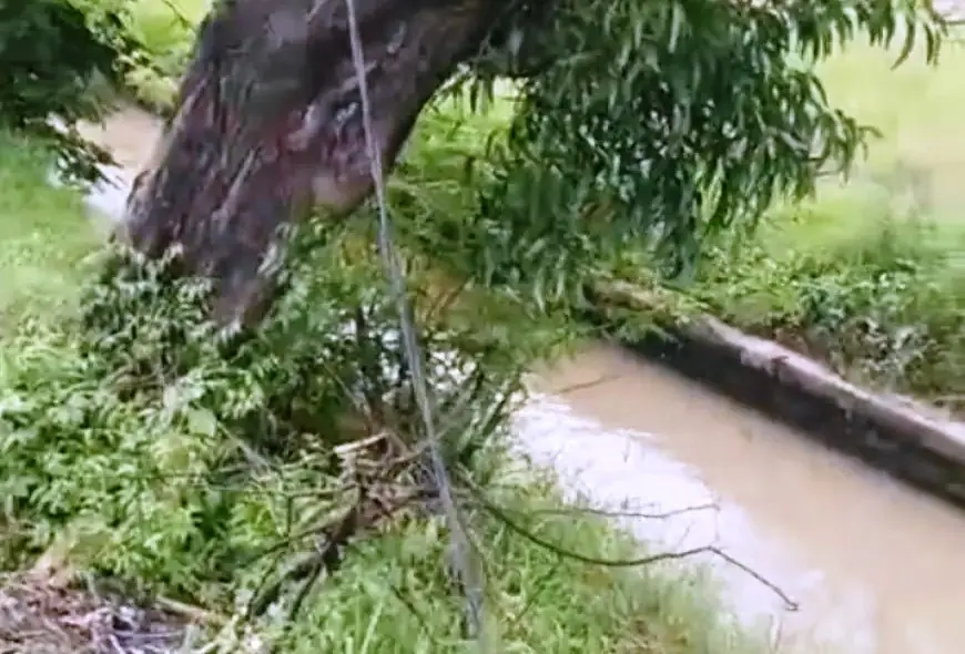 Ada Korban Tersetrum Kabel PJU di Tengah Sawah, Ini Tindak Lanjut Dishub Nganjuk