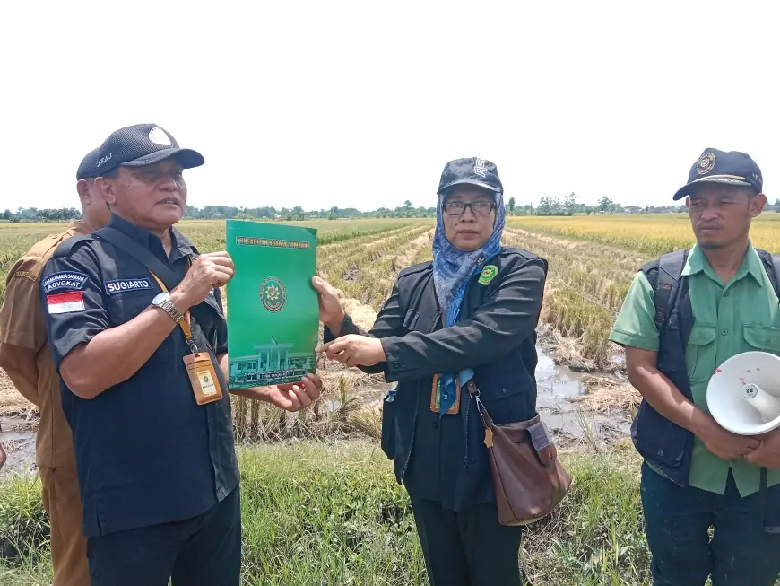 Sengketa Waris Berdarah Daging, Pengadilan Agama Jombang Eksekusi Dua Objek Tanah