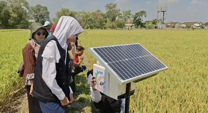 Pelajar Gresik Ciptakan Alat Pengusir Hama Tikus untuk Petani