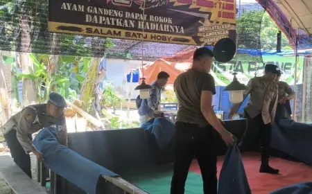 Polisi Bongkar Sarang Sabung Ayam di Pojok Trenggalek
