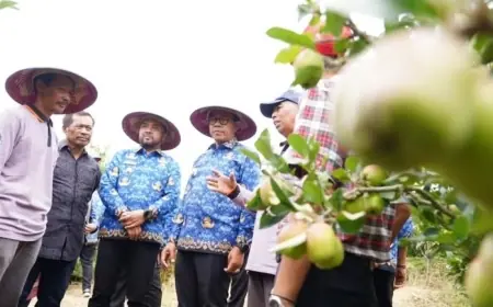 Pemkot Batu Dorong Transformasi Pertanian Terpadu Berbasis Inovasi Lokal